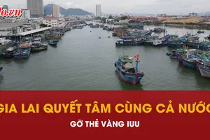 Gia Lai ‘vượt khó’ cùng cả nước gỡ thẻ vàng IUU