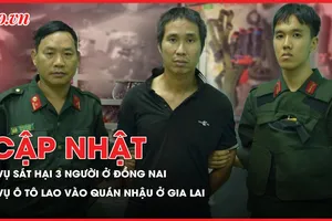 Điểm nóng tố tụng 12-10: Cập nhật vụ sát hại 3 người ở Đồng Nai; Diễn biến mới vụ ô tô lao vào quán nhậu ở Gia Lai