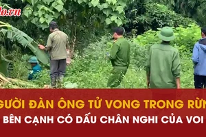 Dấu chân nghi của voi gần hiện trường người đi hái măng tử vong