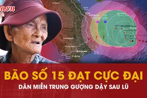 Bão số 15 đạt cực đại, miền Trung oằn mình gượng dậy sau lũ lịch sử