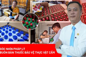 Buôn bán thuốc bảo vệ thực vật cấm: Hành vi nào sẽ bị xử lý hình sự?