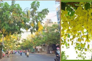 'Em có muốn biết người anh yêu thương, hôm nào anh giới thiệu...' 