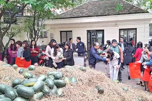 Công chức Bộ đi bán dưa cũng chỉ 'xoa dịu tạm thời'