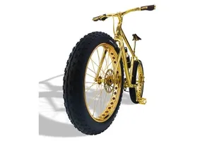 Cận cảnh xe đạp có giá... 21 tỉ đồng Việt Nam