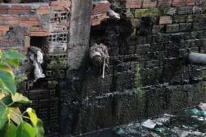 Kênh Gia Định "chết": Chất thải nuôi muỗi, muỗi hại người 