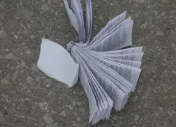 Hàng chục thí sinh bị đình chỉ thi môn Văn 