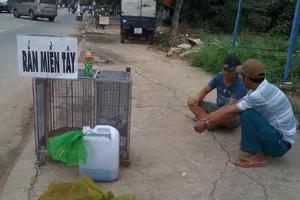 Rắn độc xuống đường phố Biên Hòa