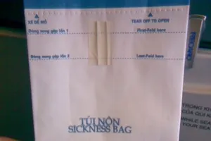 Cho con tè vào túi nôn, ca sĩ Lệ Quyên bị phạt 4 triệu đồng