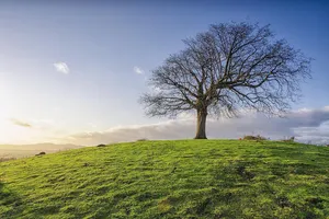 Choáng khi dịch vụ mai táng ... giao nhầm thi thể! 