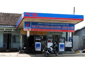 VKSND Tối cao yêu cầu báo cáo việc đình chỉ điều tra trái luật vụ án tham ô