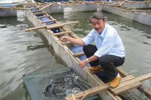 Sự tái xuất của những đại gia từng lĩnh án tử hình