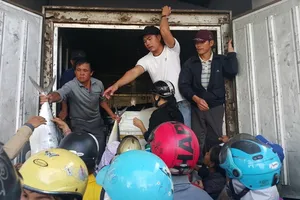 Dân ùn ùn đổ ra chợ vì ngư dân trúng đậm cá bẹ xước 
