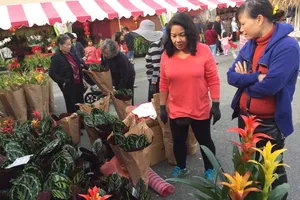 Chợ hoa ‘rất Việt Nam’ ngay trên đất Mỹ