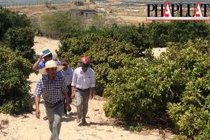 Nóng: Một người dân trình báo đã phát hiện 'kho báu núi Tàu'