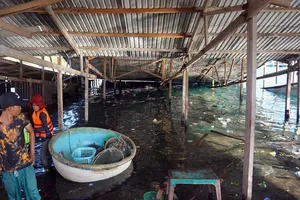 Xác định nguyên nhân ban đầu gây sập nhà hàng nổi trên vịnh Vĩnh Hy 