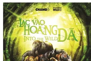 Cùng Phan Anh 'Lạc vào hoang dã'