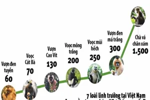 Hơn 50 lãnh đạo DN Việt Nam kêu gọi bảo vệ linh trưởng 