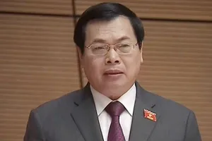 Ông Vũ Huy Hoàng chỉ bị xóa tư cách nguyên bộ trưởng