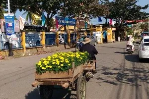 Chùm ảnh: Miền Trung muôn nẻo đường xuân 