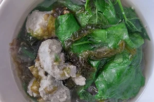 Đất hoang, rong biển và cá nhái 