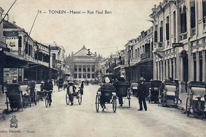 Bài học từ cuộc 'thảm sát' chuột ở Hà Nội đầu thế kỷ 20