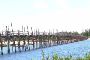 Ngắm 2 cây cầu gỗ 'sinh đôi' của một ông chủ quê