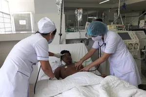 Bị ong vò vẽ đốt 50 mũi, người đàn ông nguy kịch