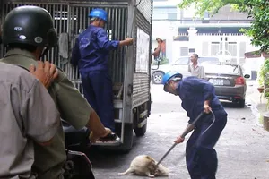 “Chó bệnh nặng, tôi thả ra đường để các anh đến bắt”
