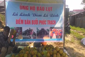 Bán bưởi Phúc Trạch giúp bà con bị bão lũ