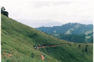 Cung đường trek đẹp nhất Việt Nam qua ảnh film