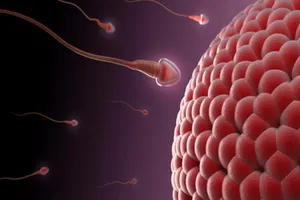 Kem cạo râu cũng có thể làm hại tinh trùng?