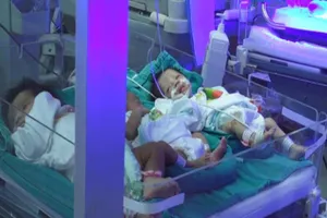 Vụ 4 trẻ sinh non tử vong: 13 trẻ nguy kịch về Hà Nội 