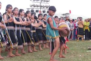 Đến chân núi lửa Chư Đăng Ya ngắm dã quỳ nở vàng rực rỡ