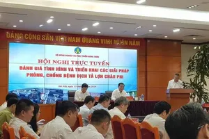 Tiền dập dịch tả lợn châu Phi không bằng công lao động tự do