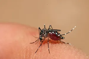 6 hiểu lầm 'chết người' về bệnh sốt xuất huyết