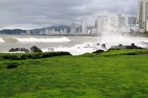 Ngắm rêu mướt xanh kỳ thú trên biển Nha Trang