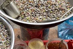 Hè về với biển, món ốc lể cũng theo về 