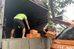 Truy tặng Bằng khen của Thủ tướng Chính phủ cho 21 cá nhân 