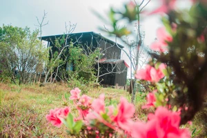 Hòn Bà và nhà bác học Yersin 