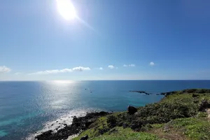 Người trẻ ơi, hãy ngước lên nhìn cuộc sống quanh mình! 