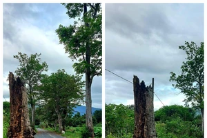 Y tế tư nhân Việt Nam chỉ đáp ứng được hơn 5% tổng số giường bệnh