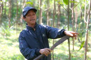 Chi bộ đặc biệt của người Mã Liềng ở dãy Giăng Màn 