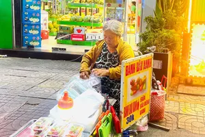 "Tiệm" bánh trái cây đậu xanh đủ màu của dì Hai Bưởi