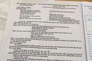 Nghi vấn đề thi môn Văn bị tuồn ra ngoài, Bộ GD-ĐT nói gì? 