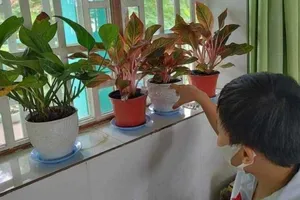 Quỹ trường hay quỹ khuyến học? 