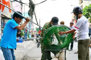 Bạn đọc đề nghị xử lý nghiêm chủ nuôi để chó tấn công người