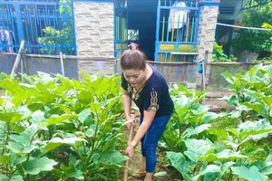 Hô biến khu đất hoang đầy rác, xà bần thành vườn rau 0 đồng