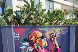 Bạn đọc tranh cãi vụ vẽ tranh graffiti lên tường nhà bị phạt