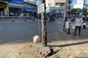 Hàng loạt cây xanh 'thoi thóp': Ý thức kém dẫn đến hậu quả khôn lường