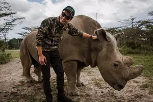 MC Phan Anh đau buồn trước cái chết của tê giác Sudan